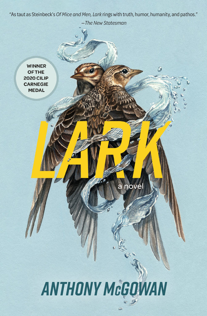 Book cover of 'Lark' by Anthony McGowan with two birds and water splash on a light blue background. Illustrated by Christina Mrozik 