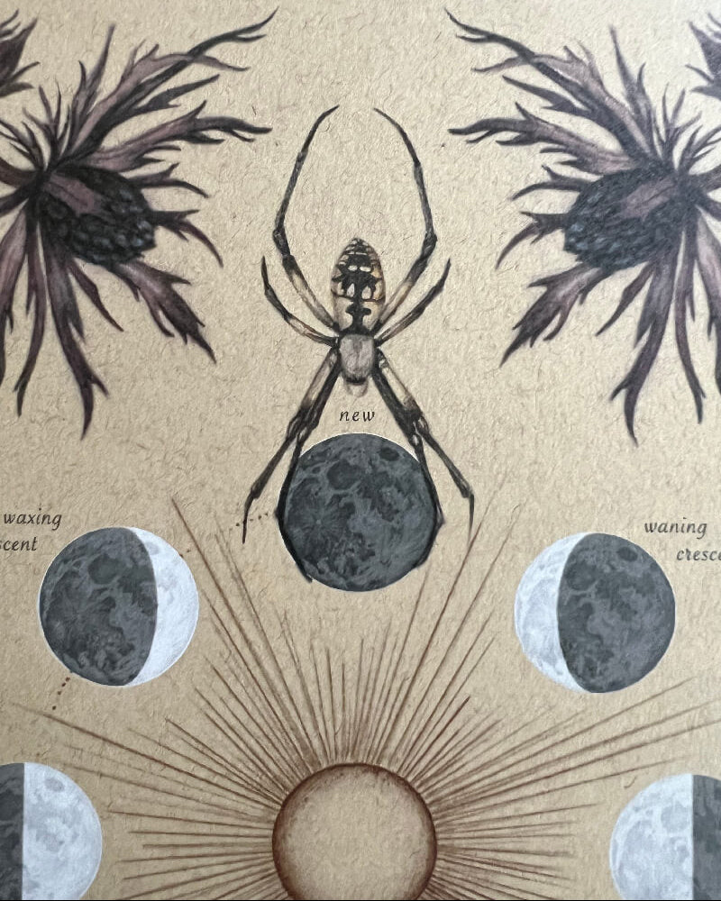 Artistic depiction of a spider with moon phases and plant elements on a textured background