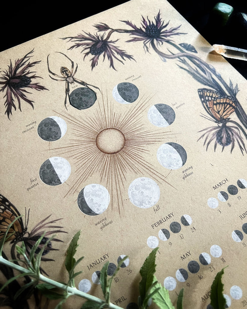 Moon phase calendar with botanical illustrations on a textured surface