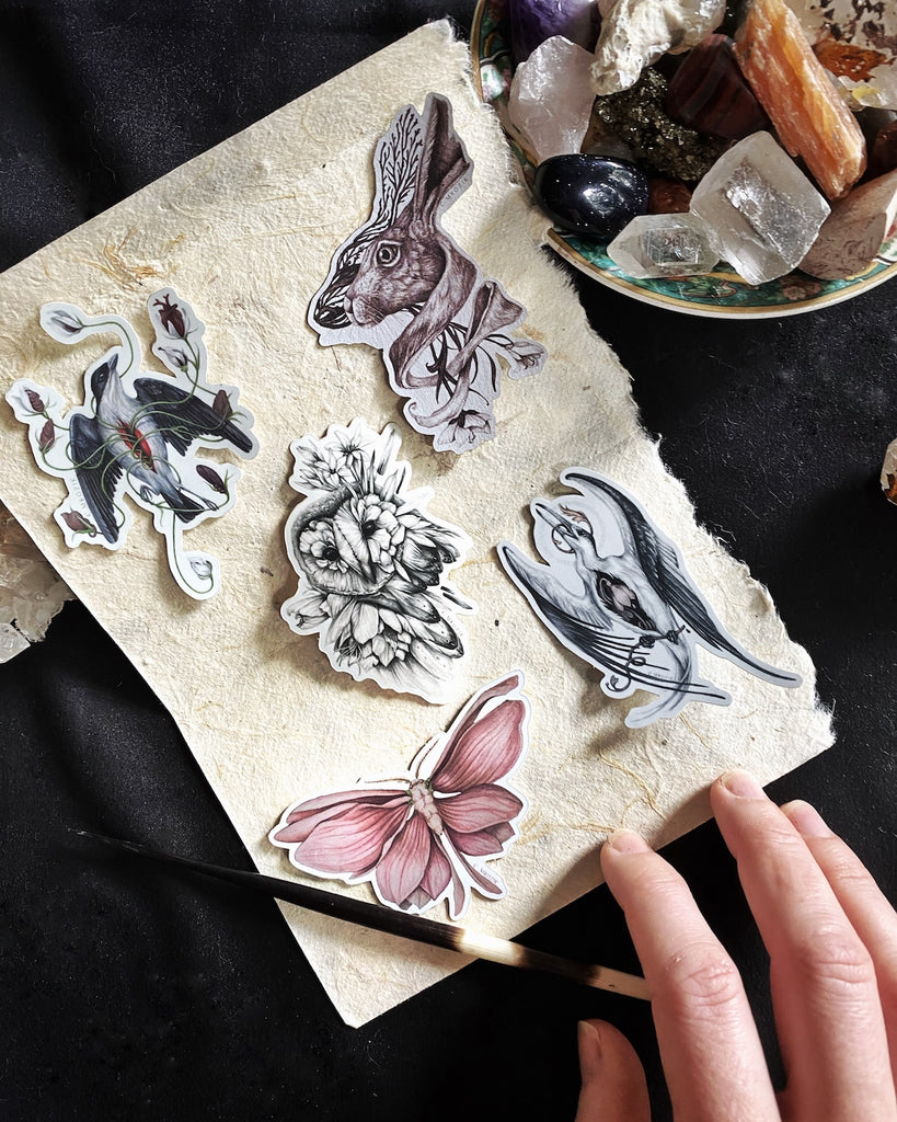 Pack of 5 small stickers with illustrations of moths, rabbits, owls, and birds.