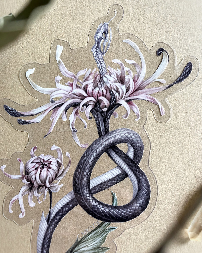 Large, clear-backed sticker with grey snake skeleton coming out of a pink chrysanthemum.