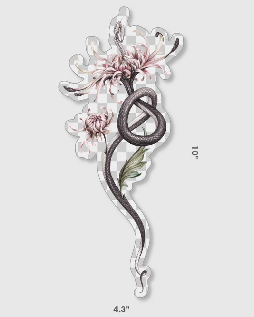 Large, clear-backed sticker with grey snake skeleton coming out of a pink chrysanthemum.