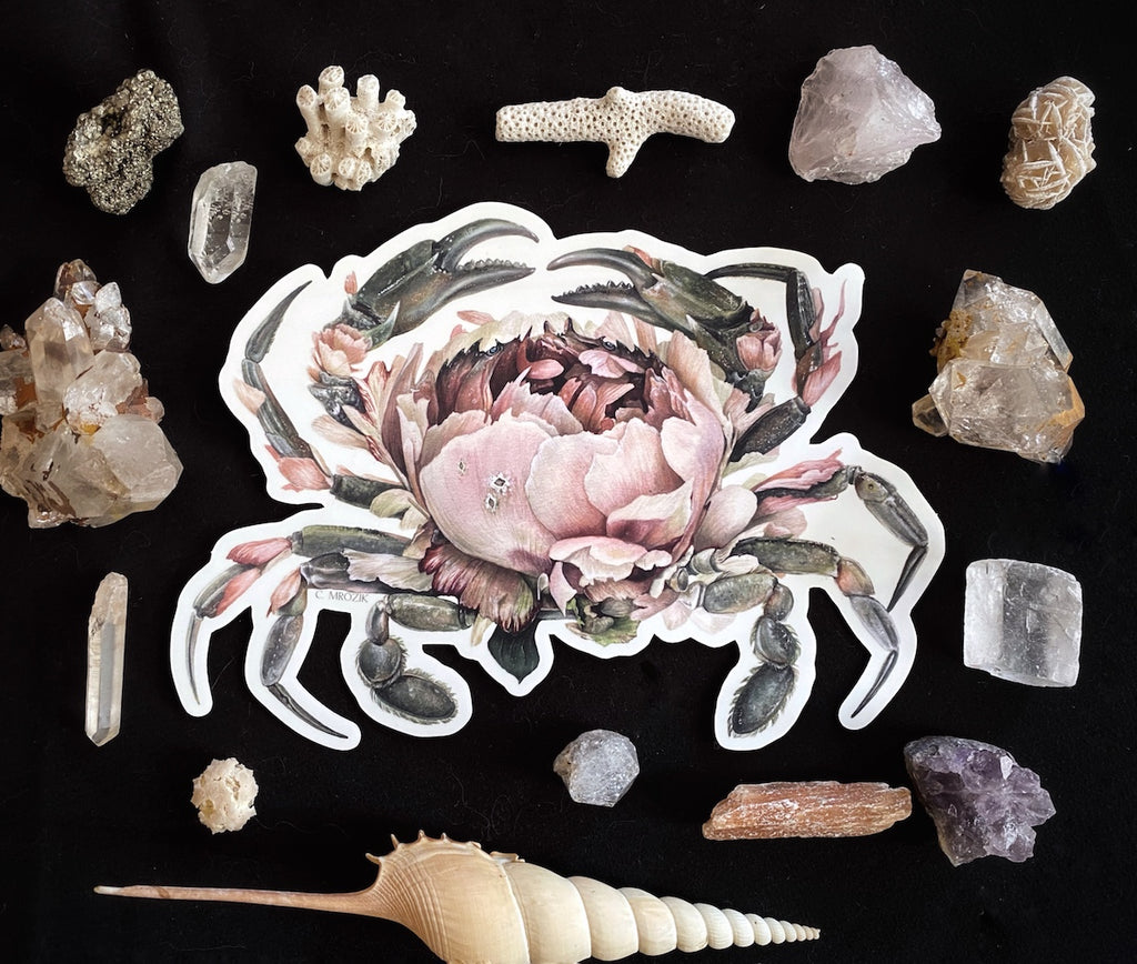 Large clear-backed sticker of a gray crab with a large pink peony for a shell.