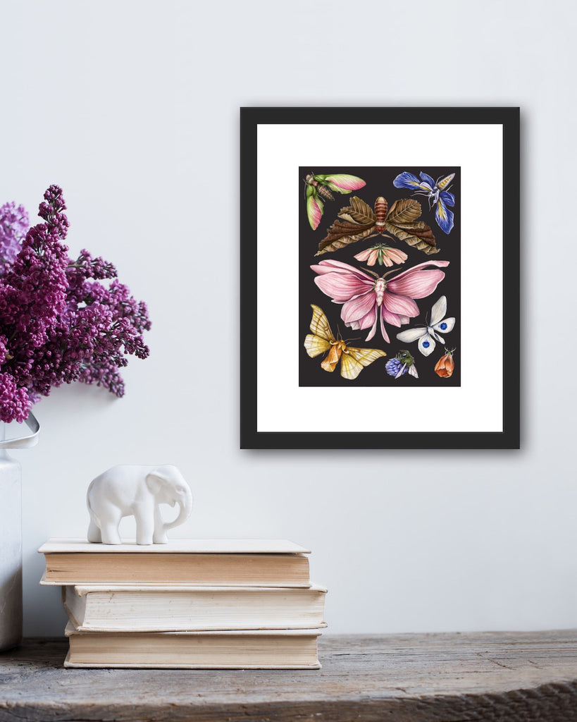 Colorful, botanical style art print of several butterflies and moths with flower petals for wings on black background.