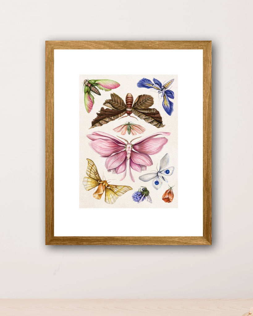 Colorful, botanical style art print of several butterflies and moths with flower petals for wings on cream background.