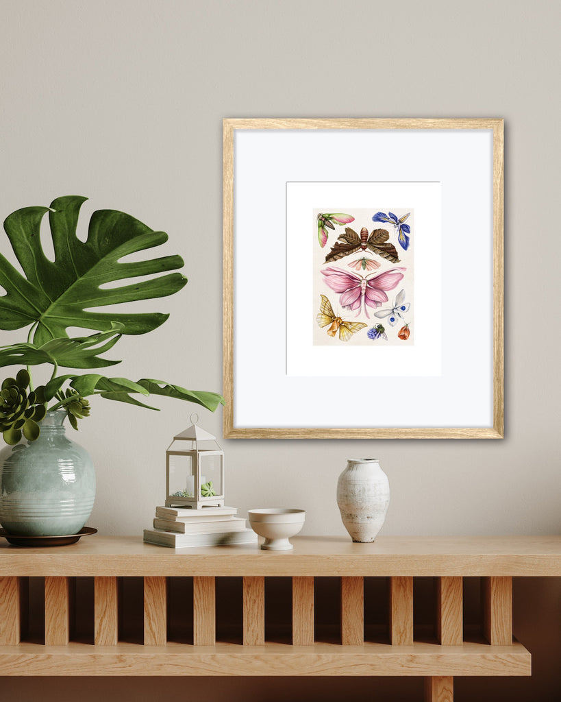 Colorful, botanical style art print of several butterflies and moths with flower petals for wings on cream background.