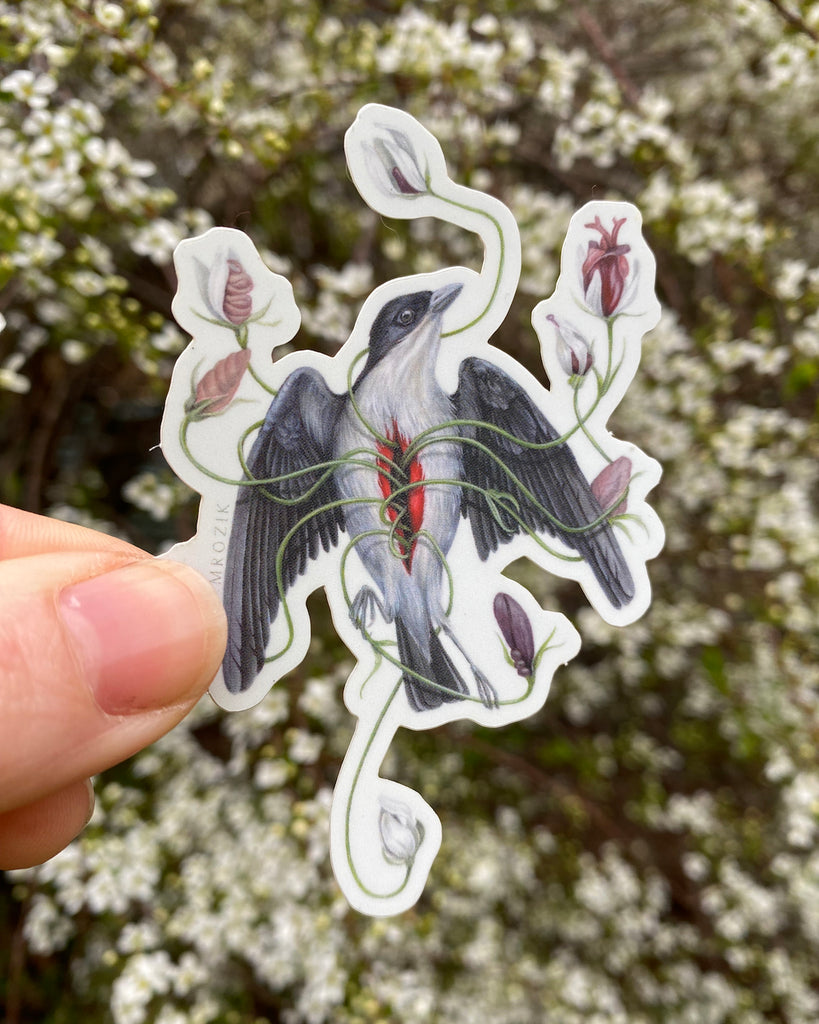 Pack of 5 small stickers with illustrations of moths, rabbits, owls, and birds.