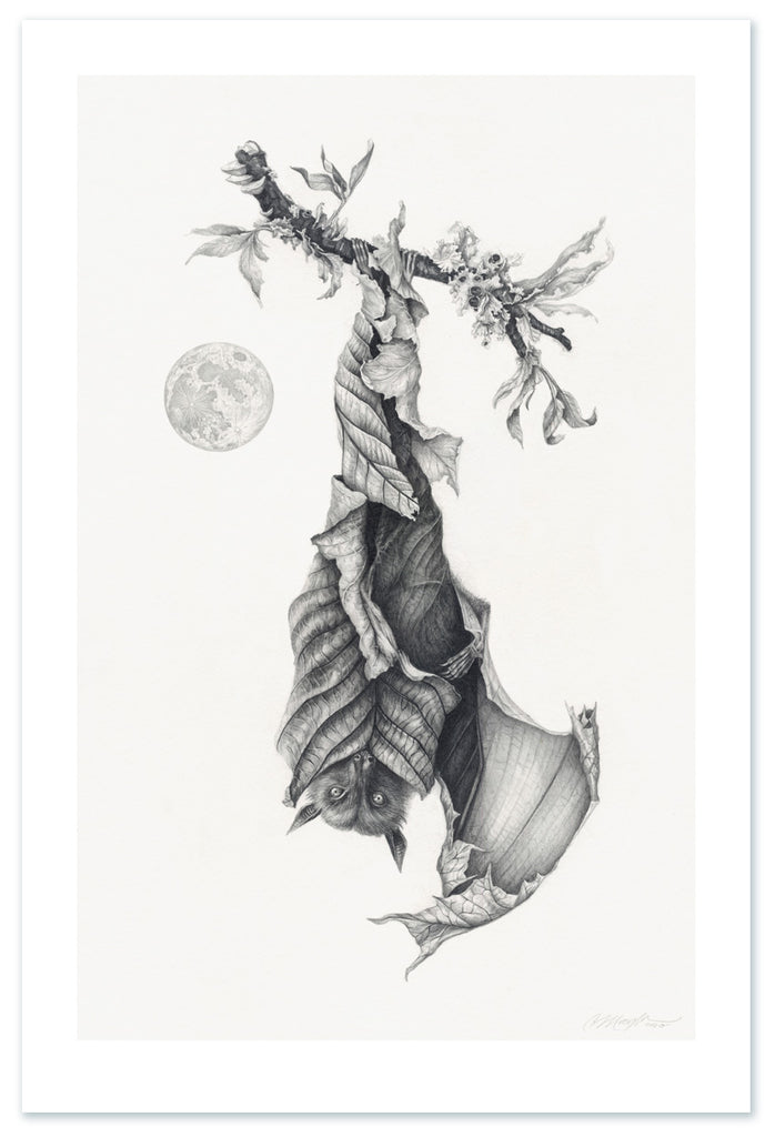 Art print of a graphite bat with leaves for wings, hanging upside down next to a full moon.