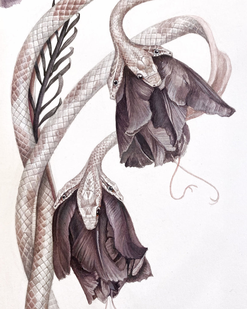 Art print of two multi-headed pink and white snakes intertwined with black parrot tulips.