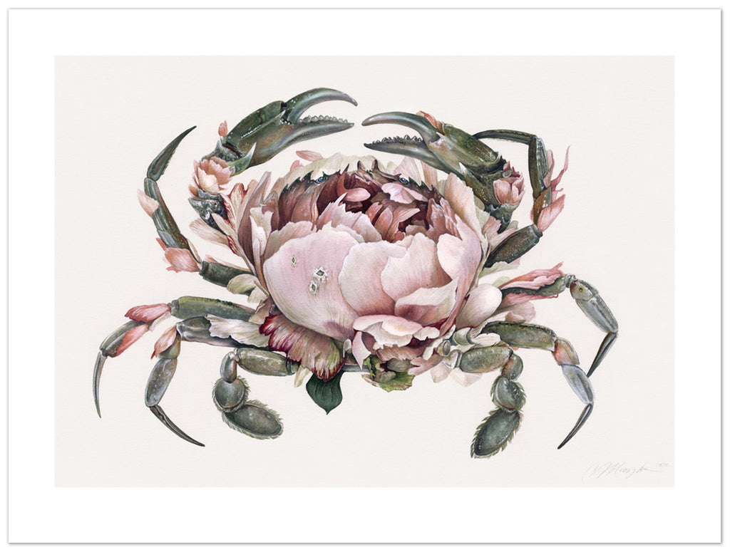 Art print of a gray crab with a large pink peony for a shell.