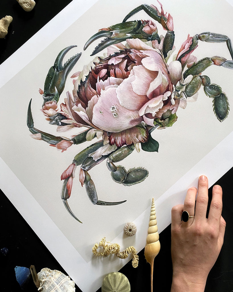 Art print of a gray crab with a large pink peony for a shell.