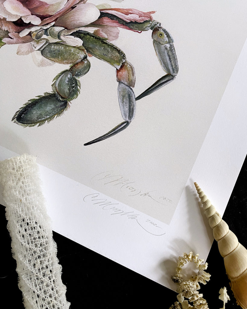 Art print of a gray crab with a large pink peony for a shell.