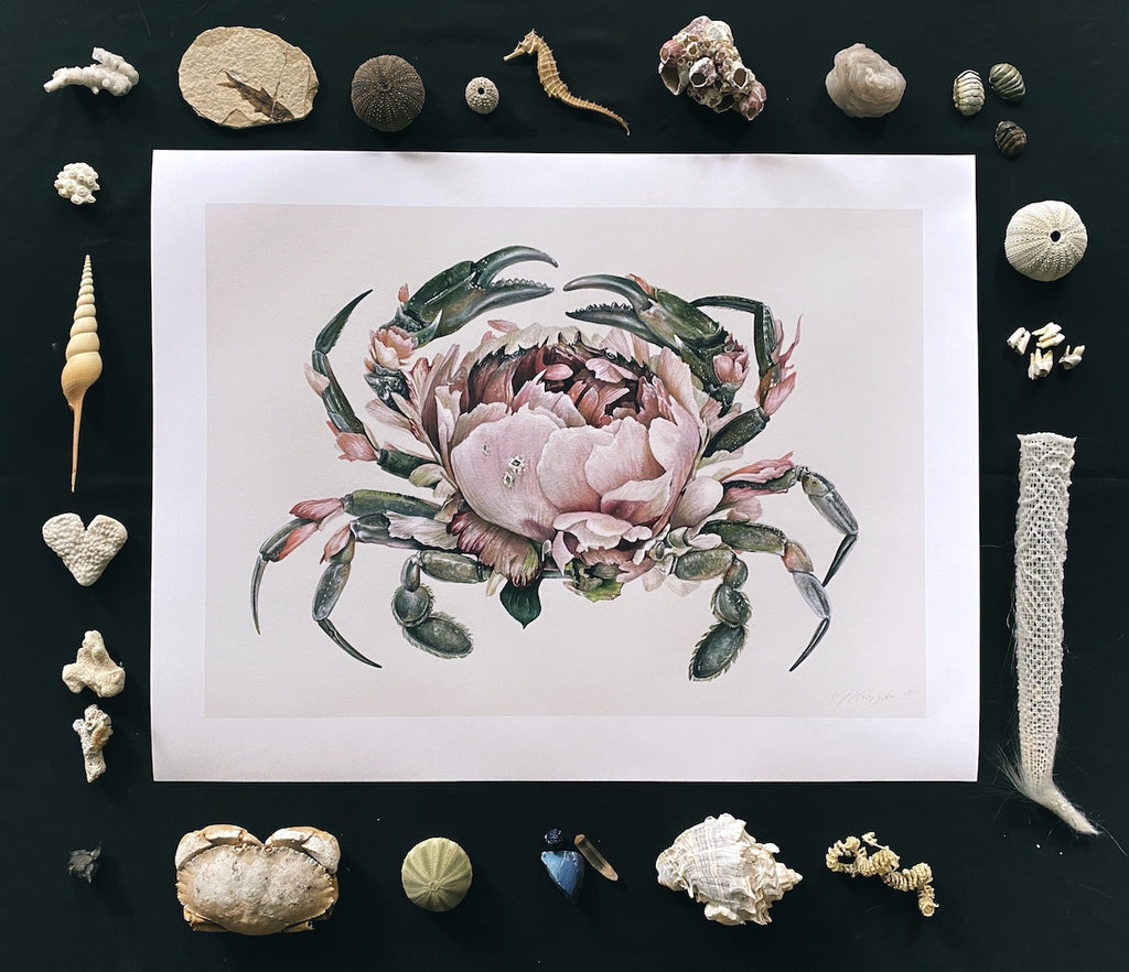 Art print of a gray crab with a large pink peony for a shell.