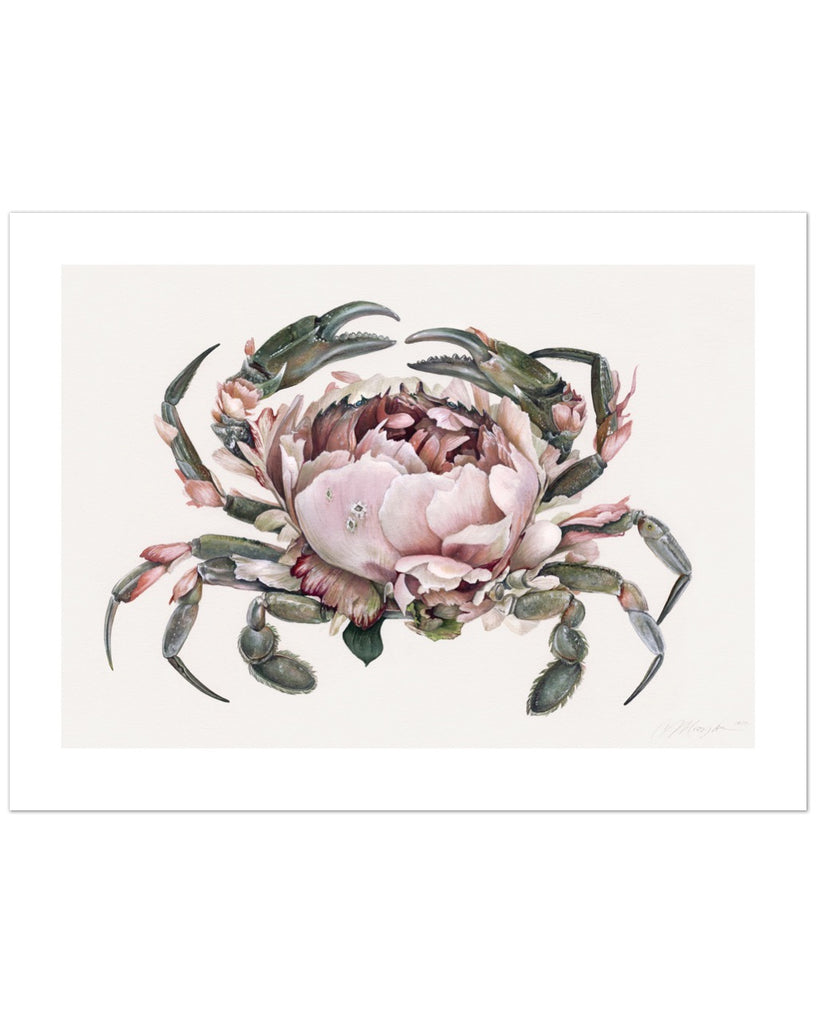 Art print of a gray crab with a large pink peony for a shell.