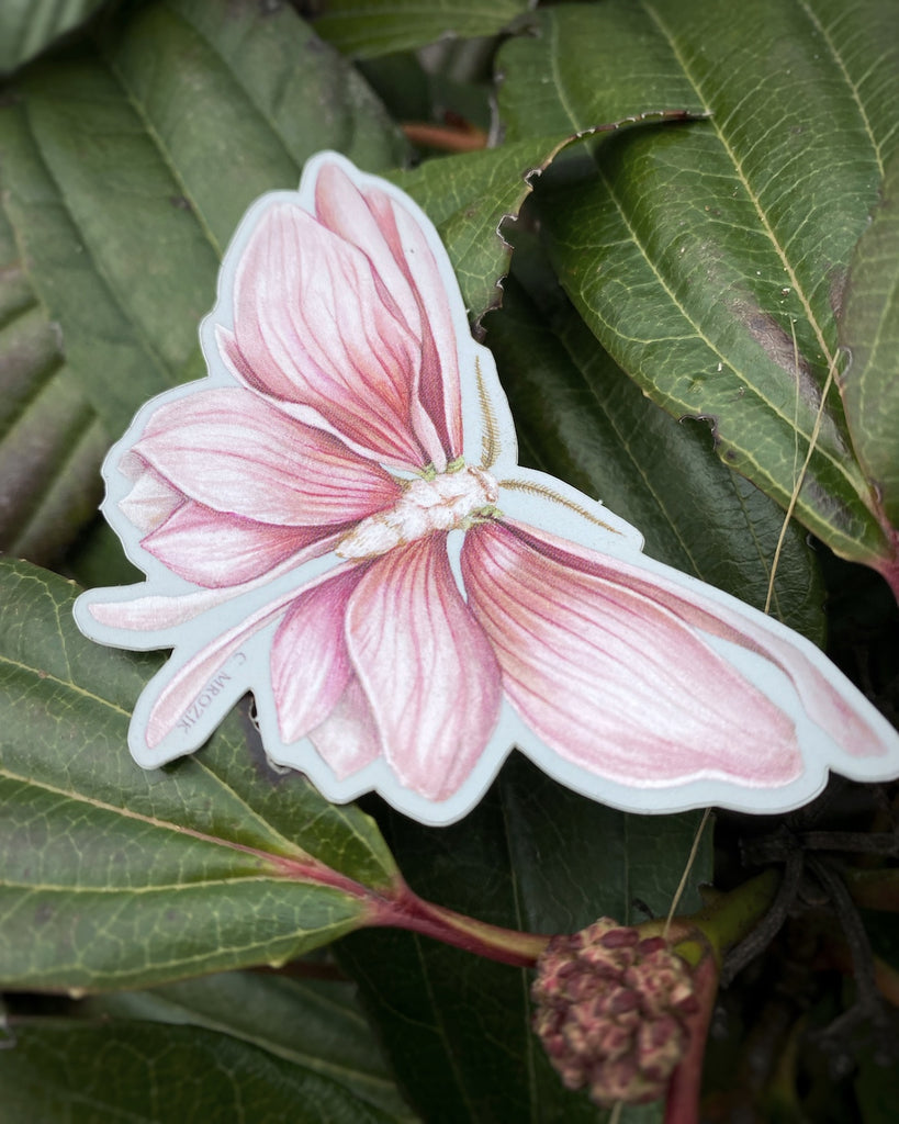 Small sticker of a moth with shimmering pink magnolia petals for wings.