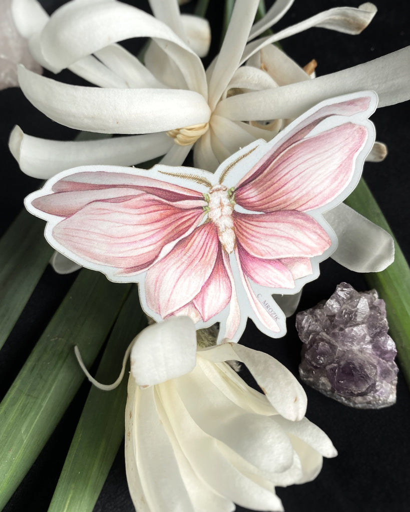 Small sticker of a moth with shimmering pink magnolia petals for wings.