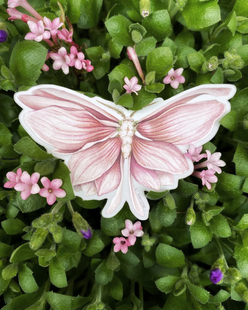 Small sticker of a moth with shimmering pink magnolia petals for wings.