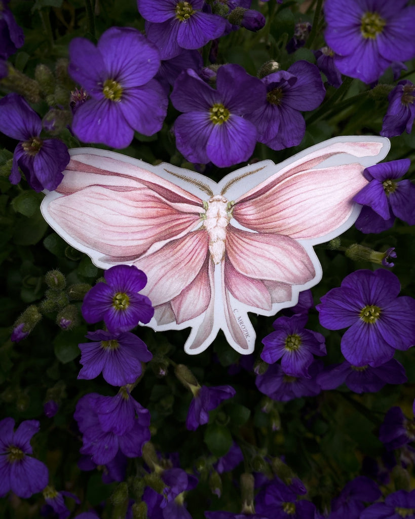 Small sticker of a moth with shimmering pink magnolia petals for wings.