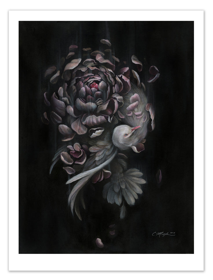 Art print of a gray dove intertwined with a dark purple peony on a black background.