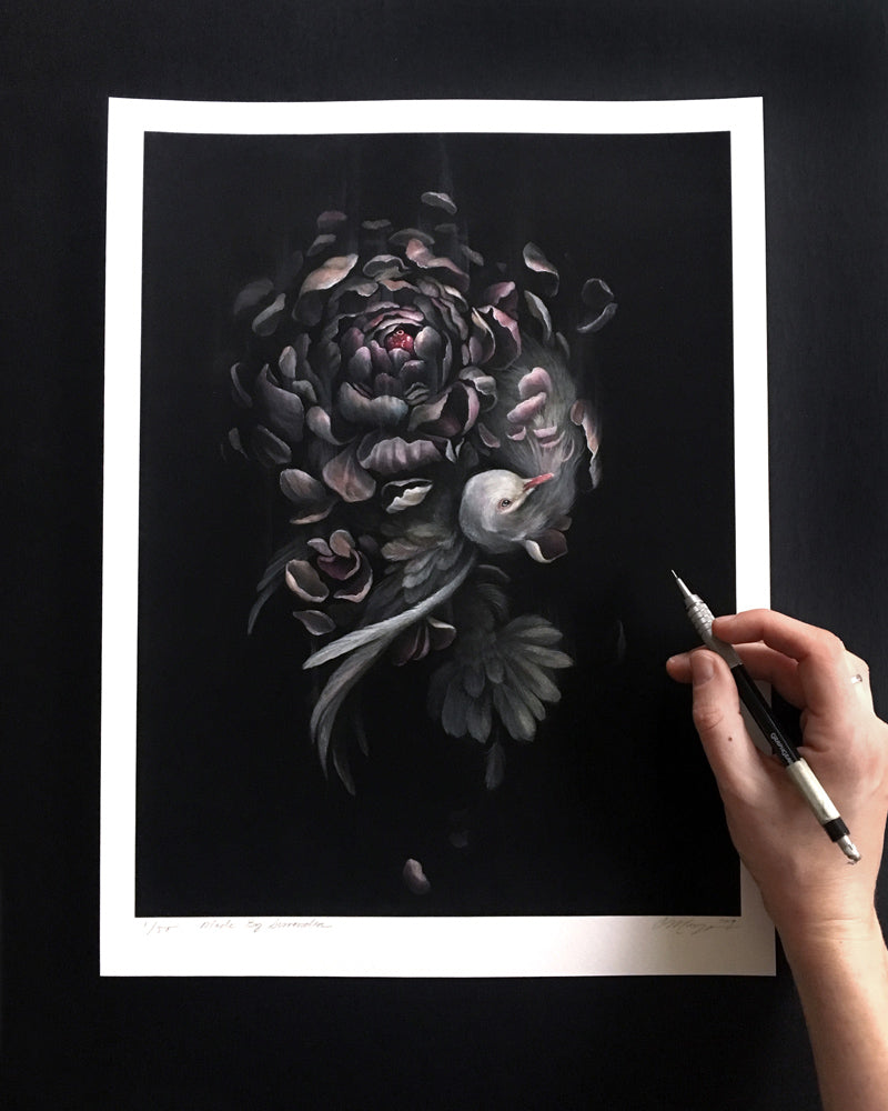 Art print of a gray dove intertwined with a dark purple peony on a black background.