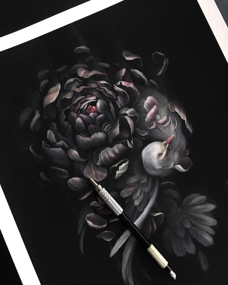 Art print of a gray dove intertwined with a dark purple peony on a black background.