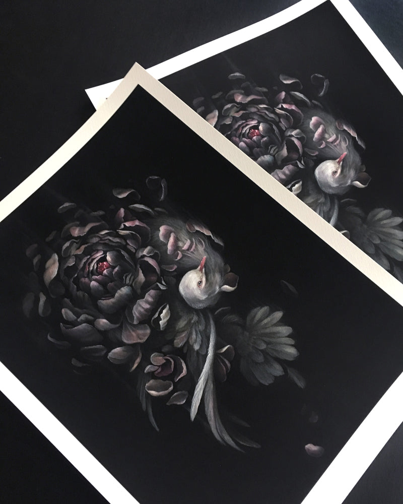 Art print of a gray dove intertwined with a dark purple peony on a black background.