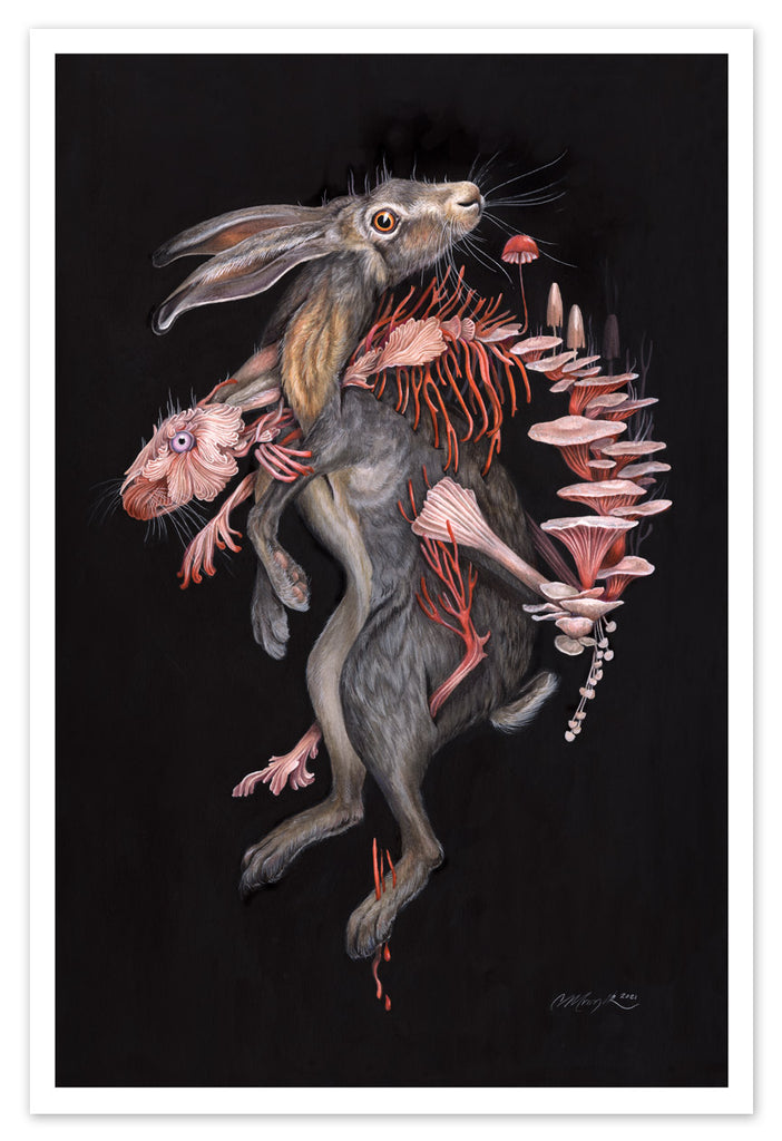 Art print of one brown rabbit intertwined with a rabbit skeleton made of pink and red mushrooms on a black background.