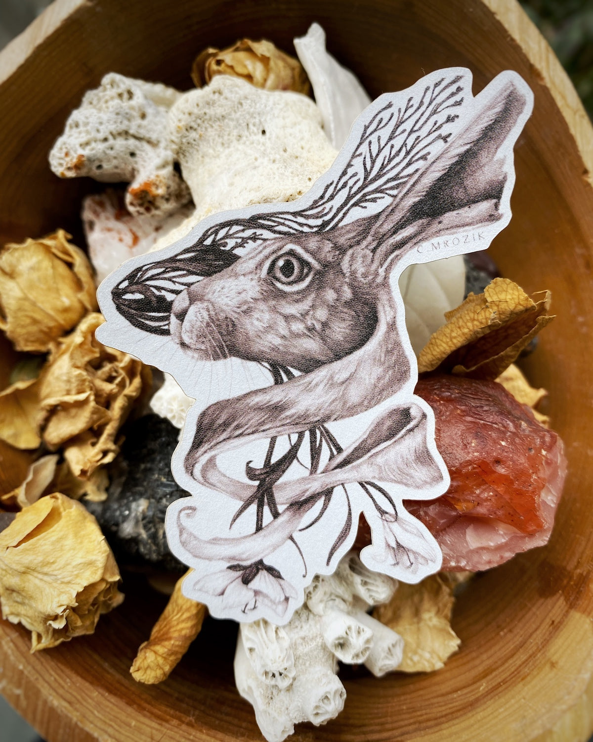 Rabbit Stickerᕱᘏ ゛専用 Rabbit - Sticker – Christina Mrozik