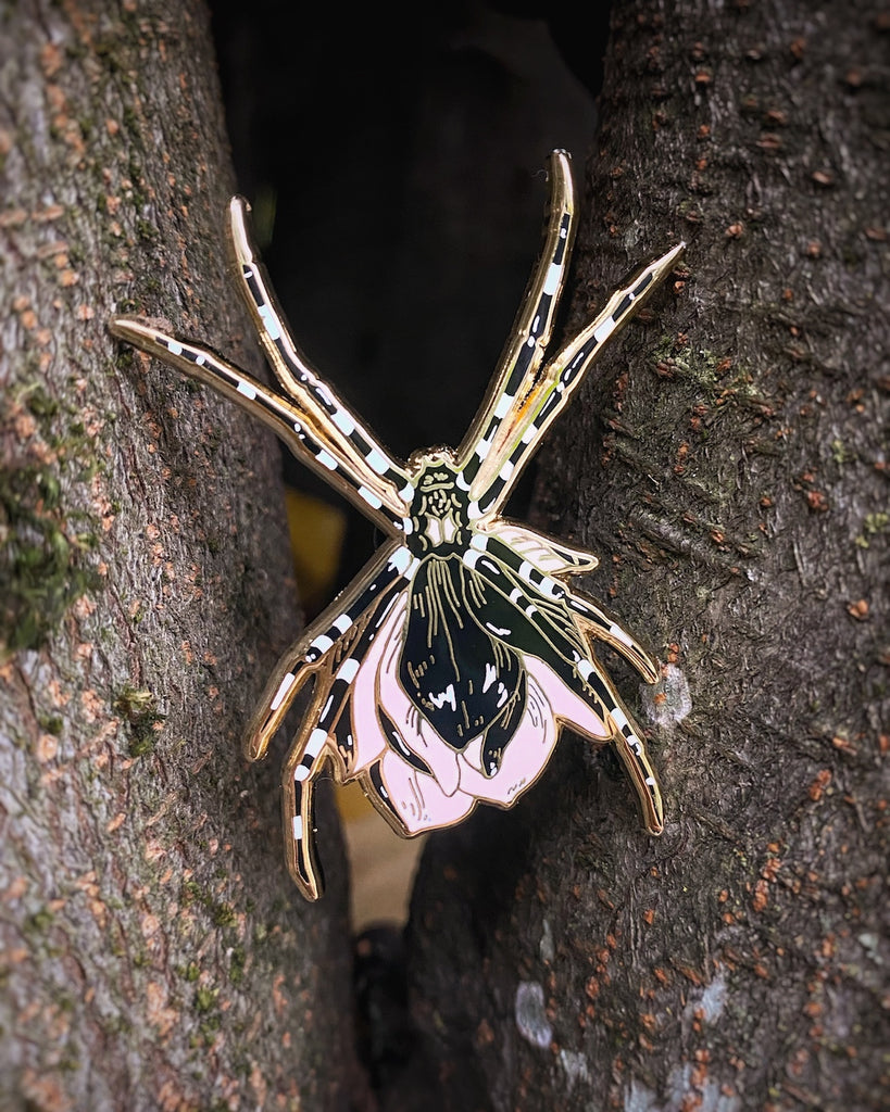 Gold plated enamel pin of a black orb weaver spider with a pink flower growing from its back.