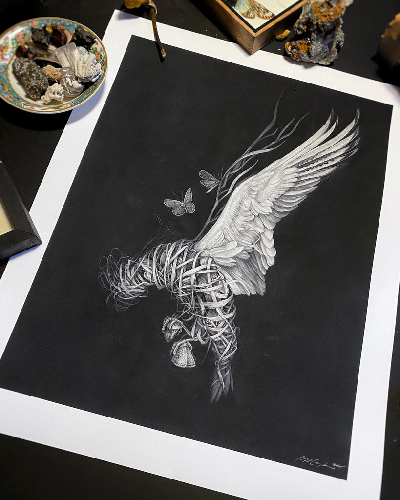 Art print of a graphite drawing of a bird made of braided grass and moth wings on a black background.