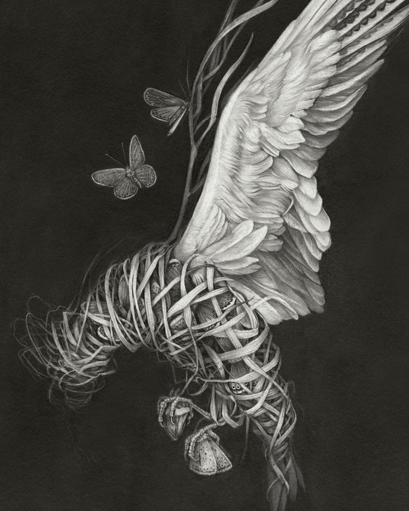 Art print of a graphite drawing of a bird made of braided grass and moth wings on a black background.