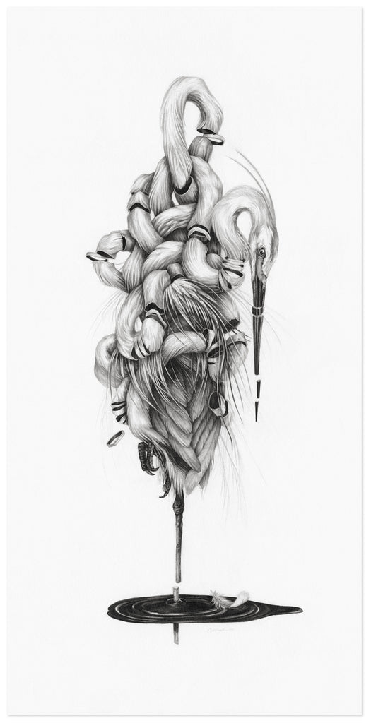 Art print of a graphite drawing of an abstracted heron split into pieces and knotted around itself.