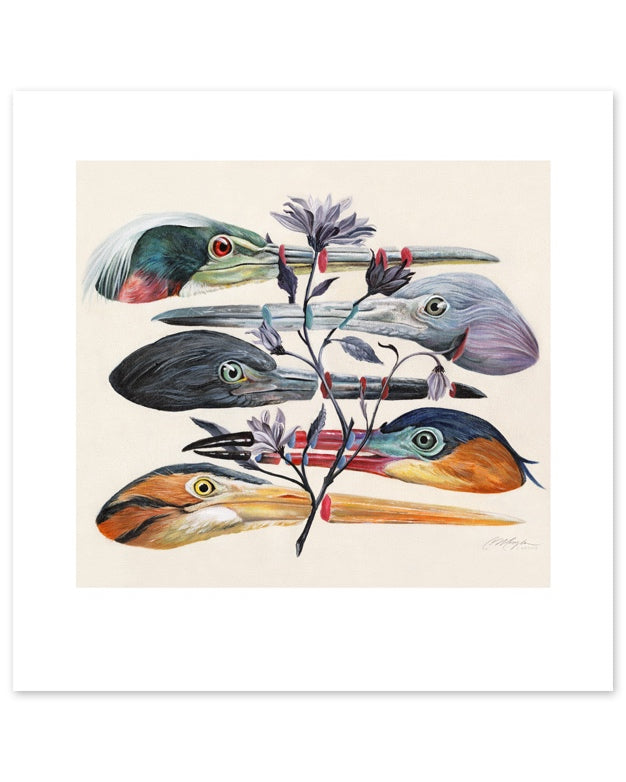 Art print of five colorful heron heads with a stem of purple flowers slicing through the heron beaks.