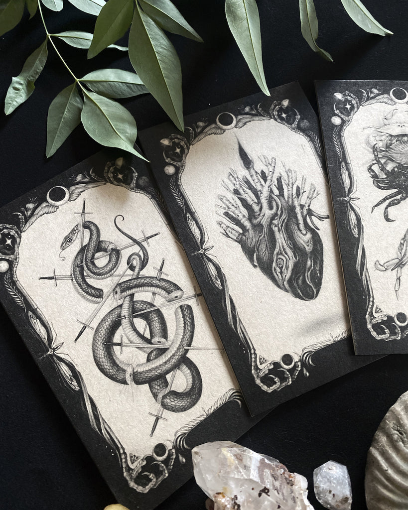 Set of five black and white greeting cards with tarot style illustrations of bats, herons, crabs, hearts, and snakes.