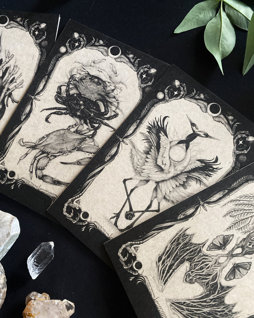 Set of five black and white greeting cards with tarot style illustrations of bats, herons, crabs, hearts, and snakes.