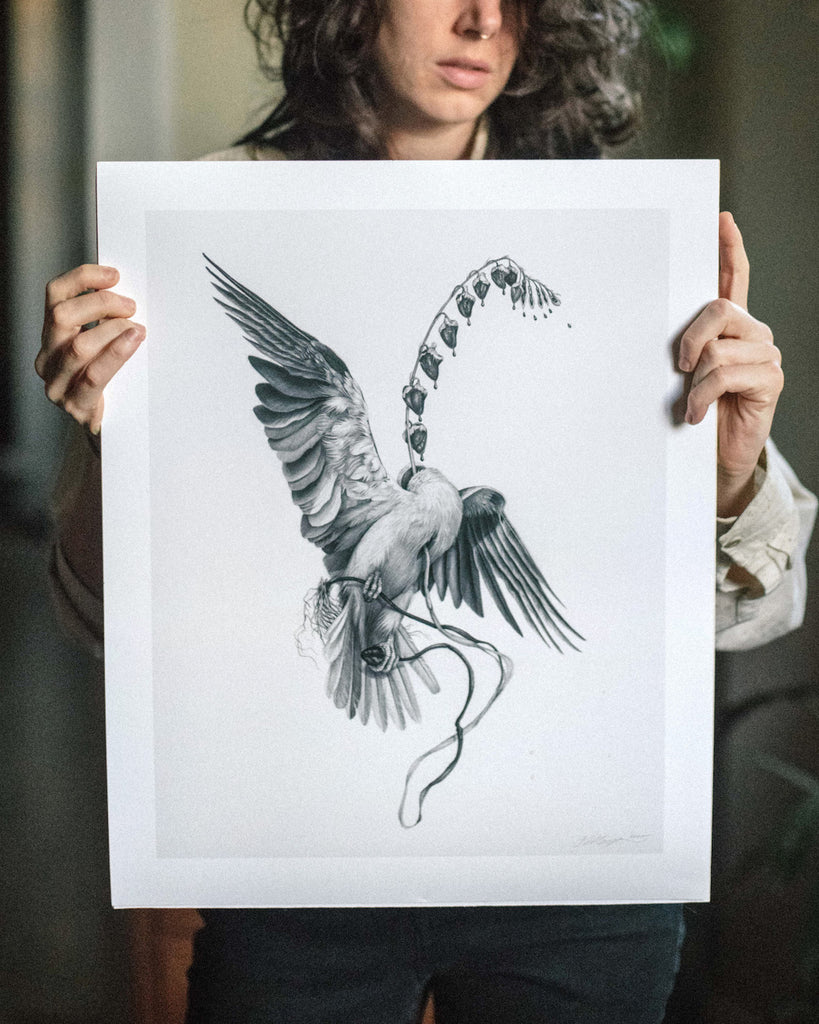 Art print of a graphite drawing of a headless kite bird with a bleeding heart flower growing from its neck.