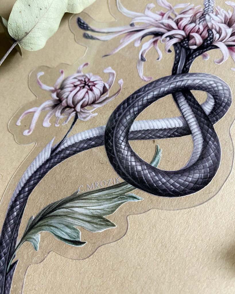 Large, clear-backed sticker with grey snake skeleton coming out of a pink chrysanthemum.