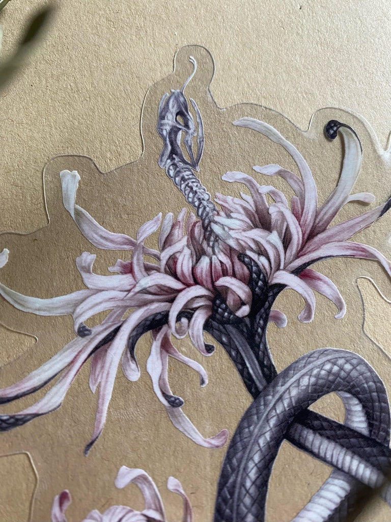 Large, clear-backed sticker with grey snake skeleton coming out of a pink chrysanthemum.