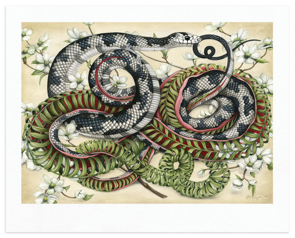 Art print of a black and white snake entwined with a snake skeleton made of ferns, surrounded by white dogwood flowers on a cream background.