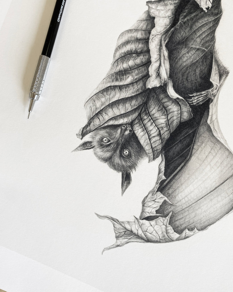 Art print of a graphite bat with leaves for wings, hanging upside down next to a full moon.