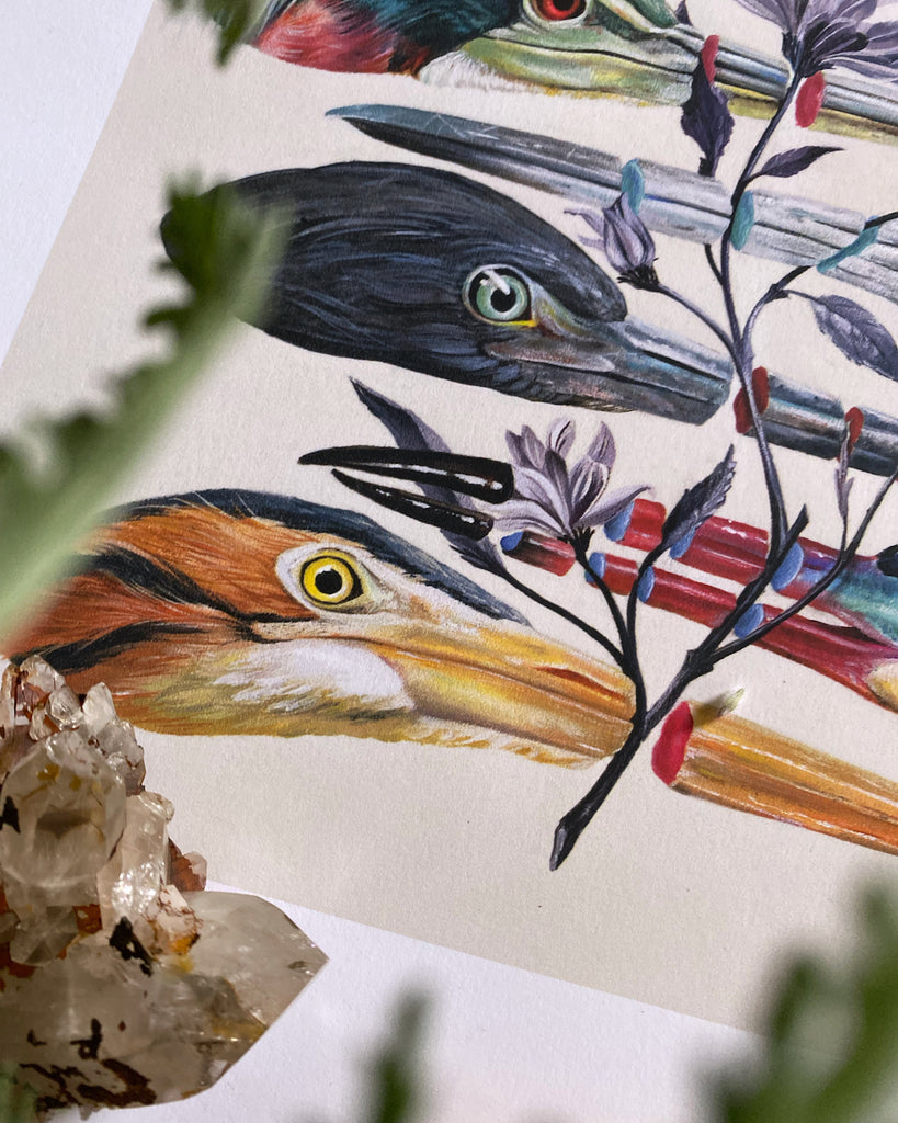 Art print of five colorful heron heads with a stem of purple flowers slicing through the heron beaks.