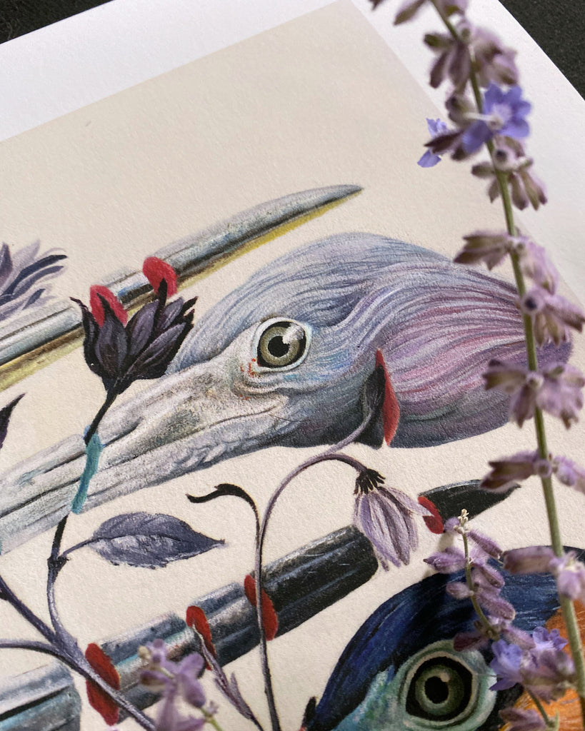 Art print of five colorful heron heads with a stem of purple flowers slicing through the heron beaks.