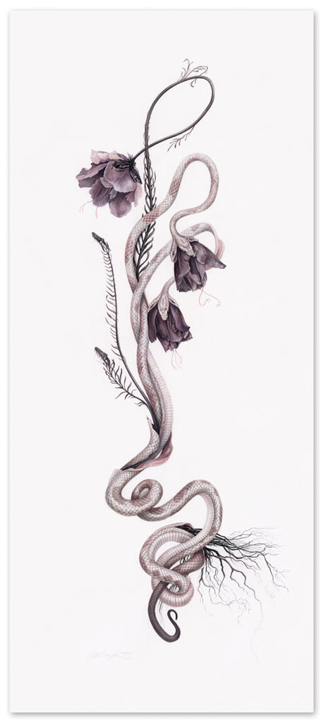 Art print of two multi-headed pink and white snakes intertwined with black parrot tulips.