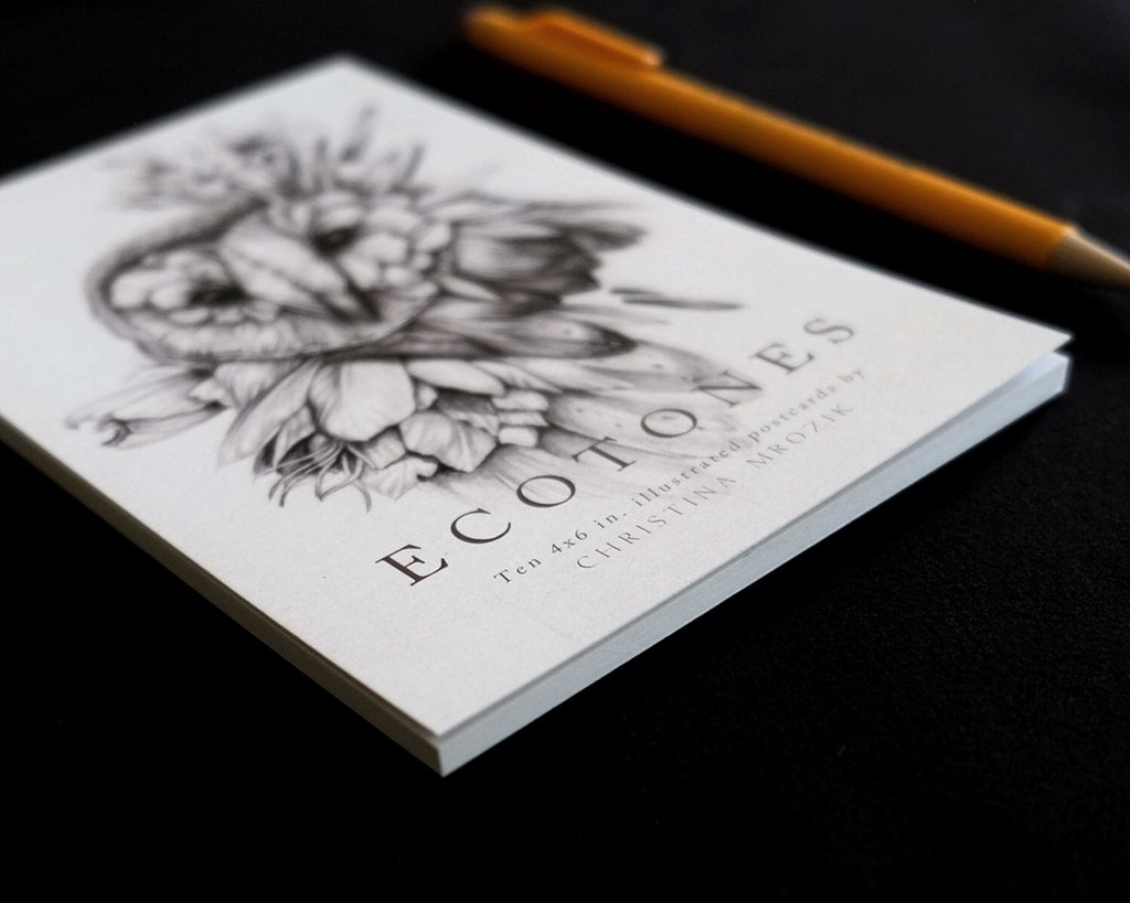 Book of postcards with rabbit, hawk, owl, lion, and floral designs in various colors.