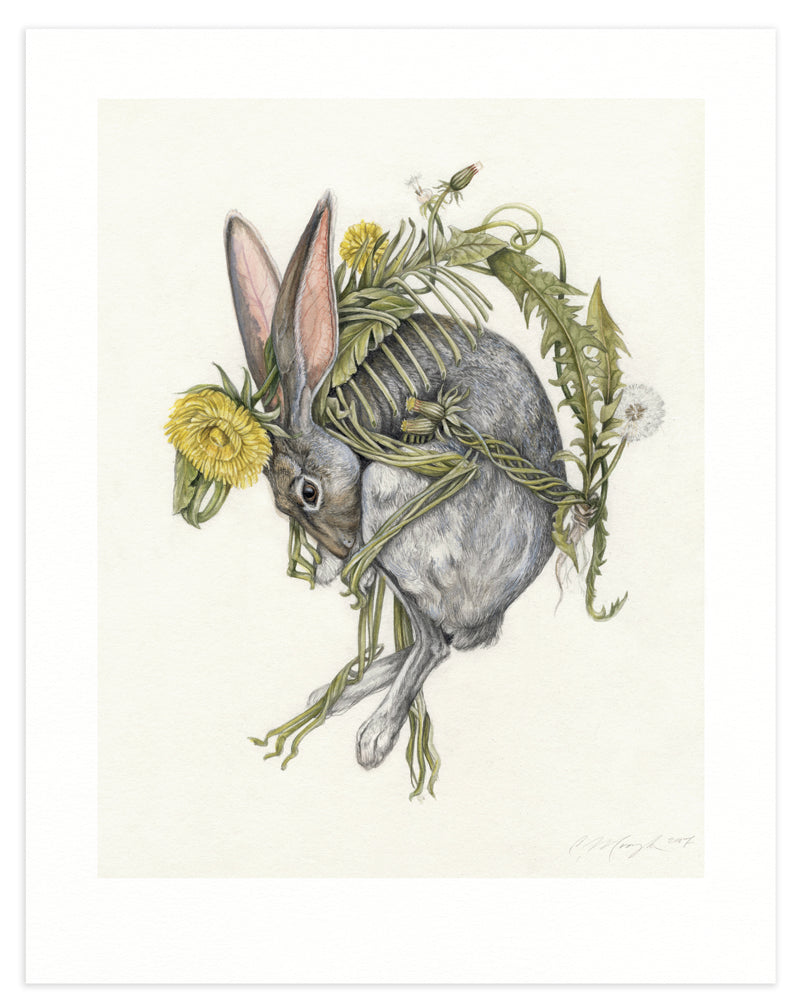 Art print of a gray rabbit curled around intertwining dandelion flowers on a cream background.