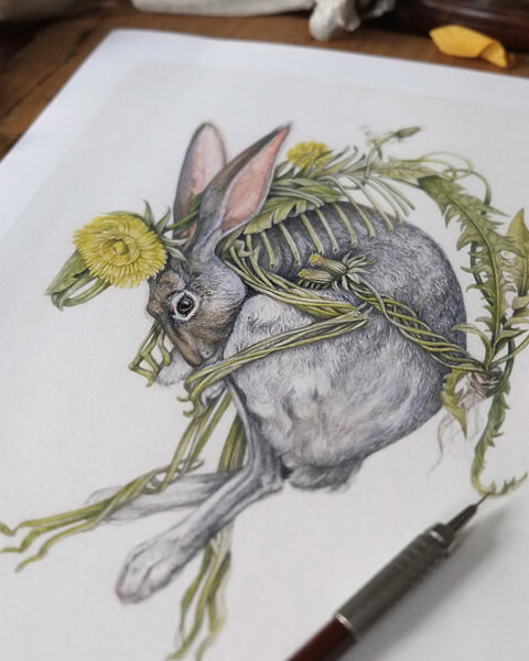 Art print of a gray rabbit curled around intertwining dandelion flowers on a cream background.