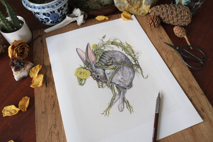 Art print of a gray rabbit curled around intertwining dandelion flowers on a cream background.