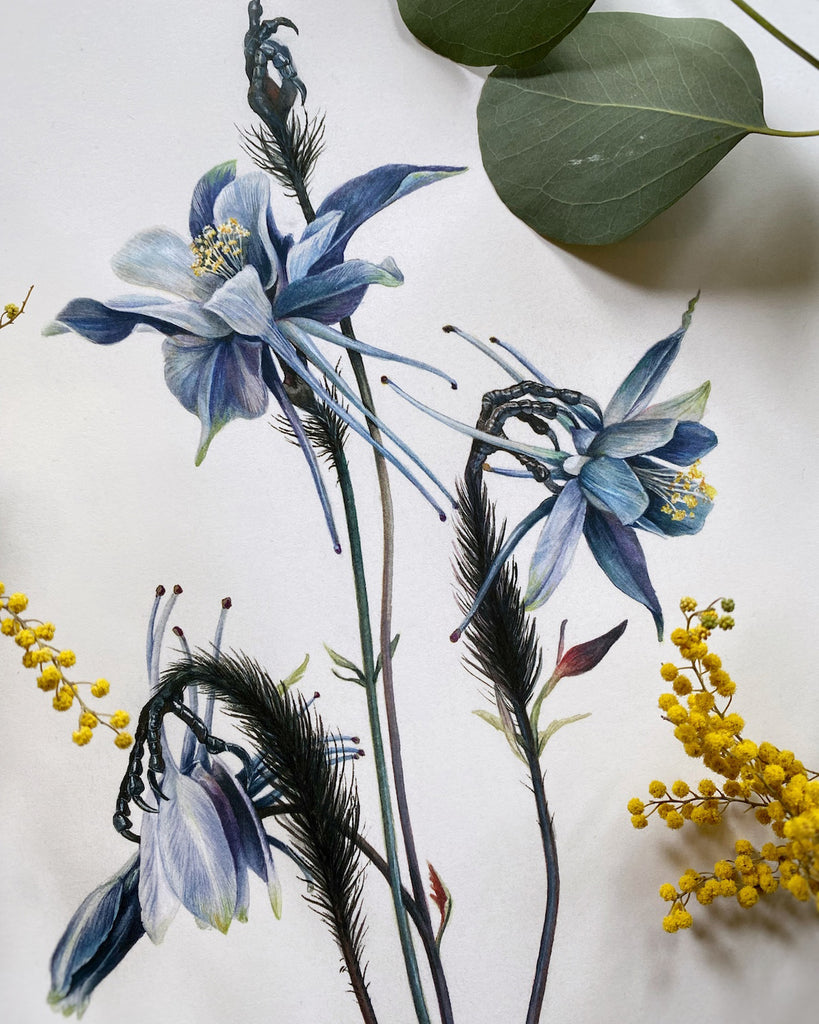 Art print of a dead blue swallow with blue columbine flowers growing from its chest.